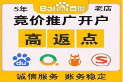 百度竞价推广成功案例：快速提升品牌知名度